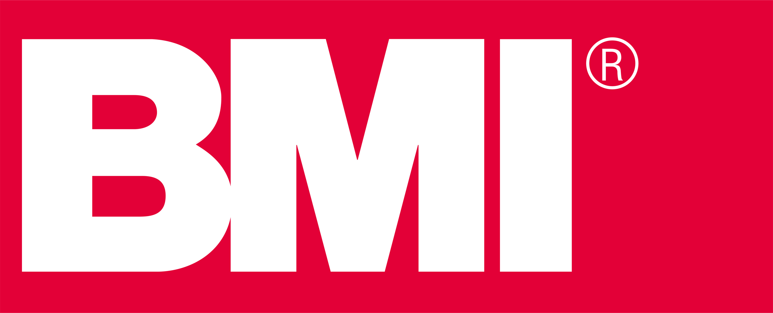 BMI Polska